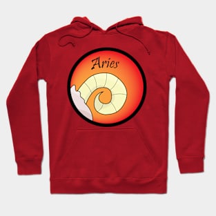 Aries Zodiac Astrology Hoodie